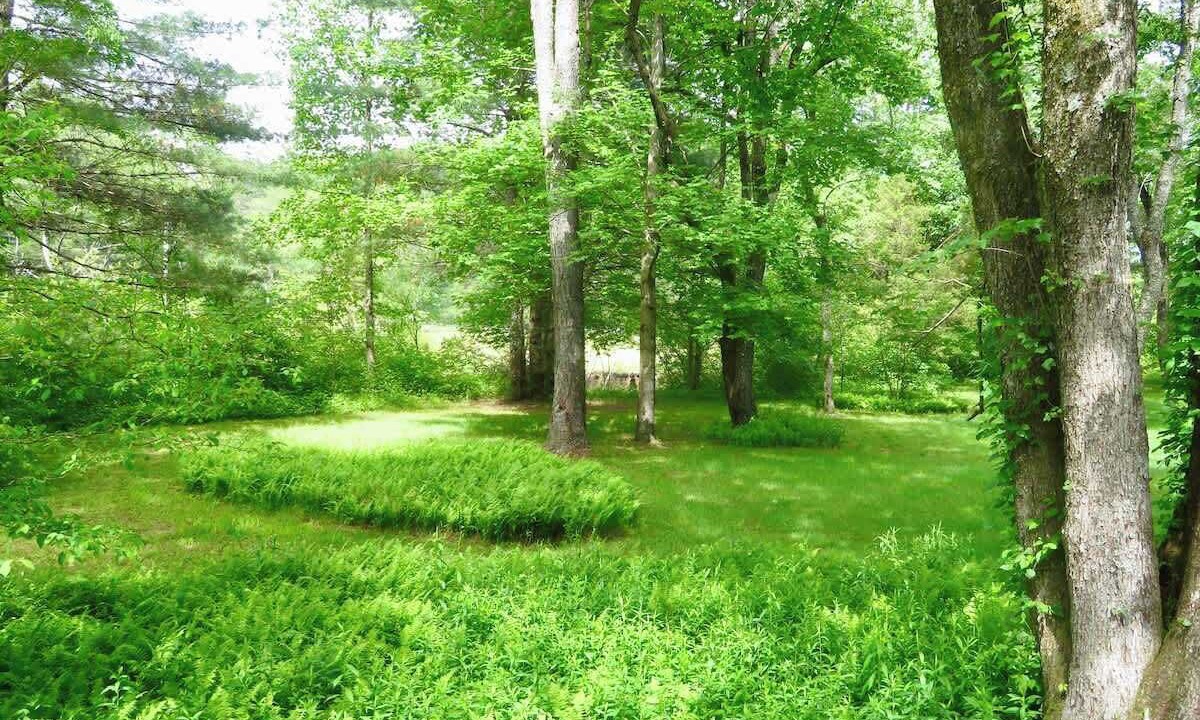 Photo of Others in Brevard