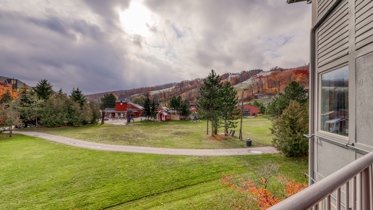 Photo of Outdoor in The Blue Mountains