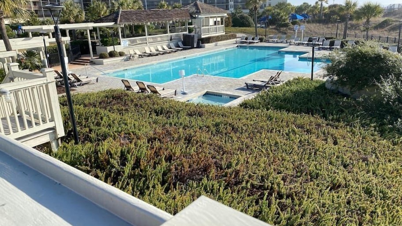Photo of Outdoor in Briarcliffe Acres