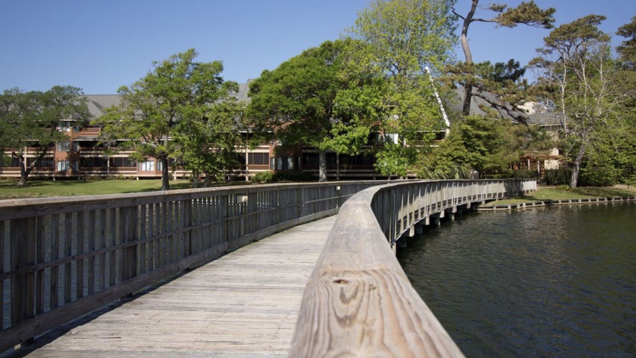 Photo of Outdoor in Arcadian Shores