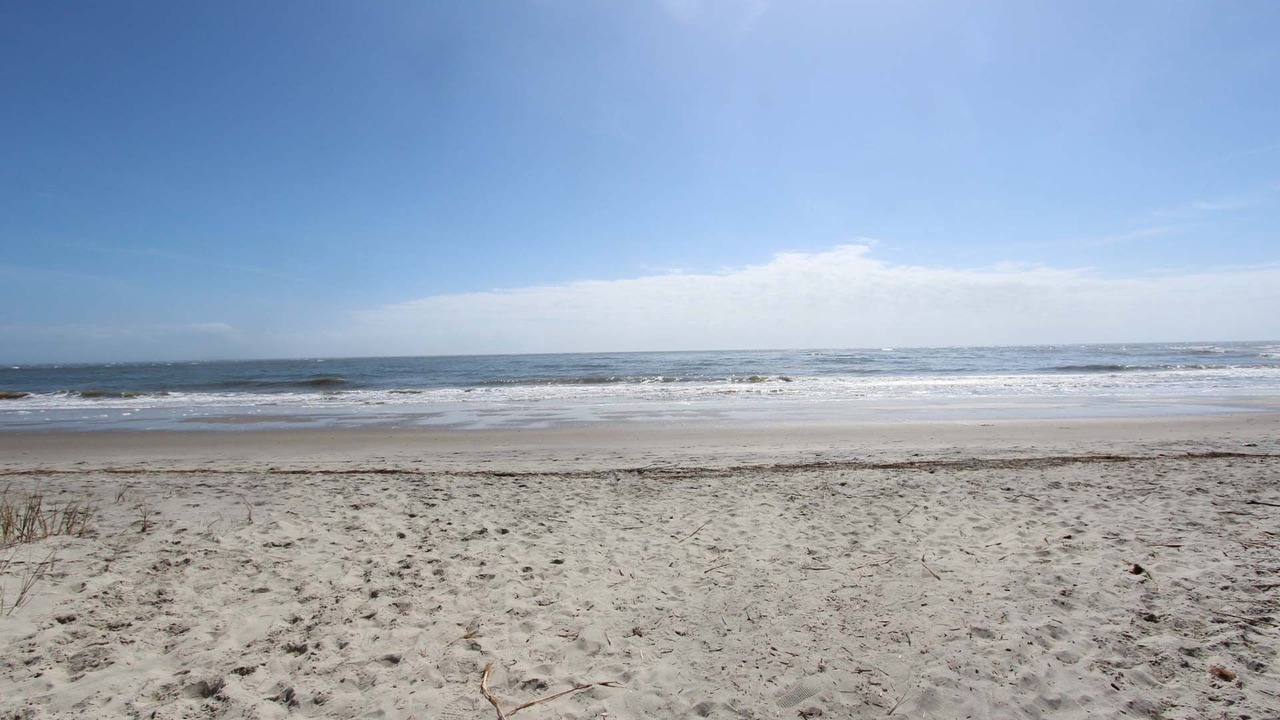 Photo of Others in Isle of Palms