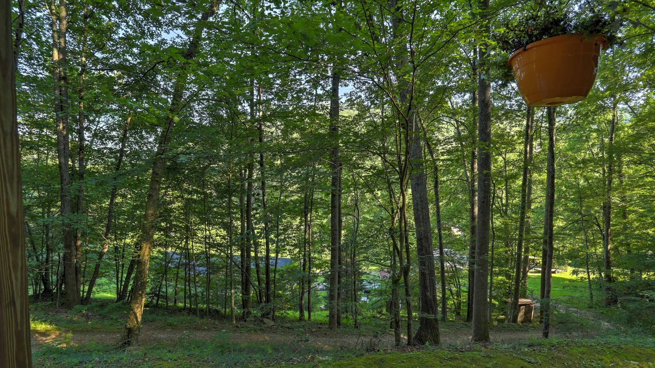 Photo of Outdoor in Briceville