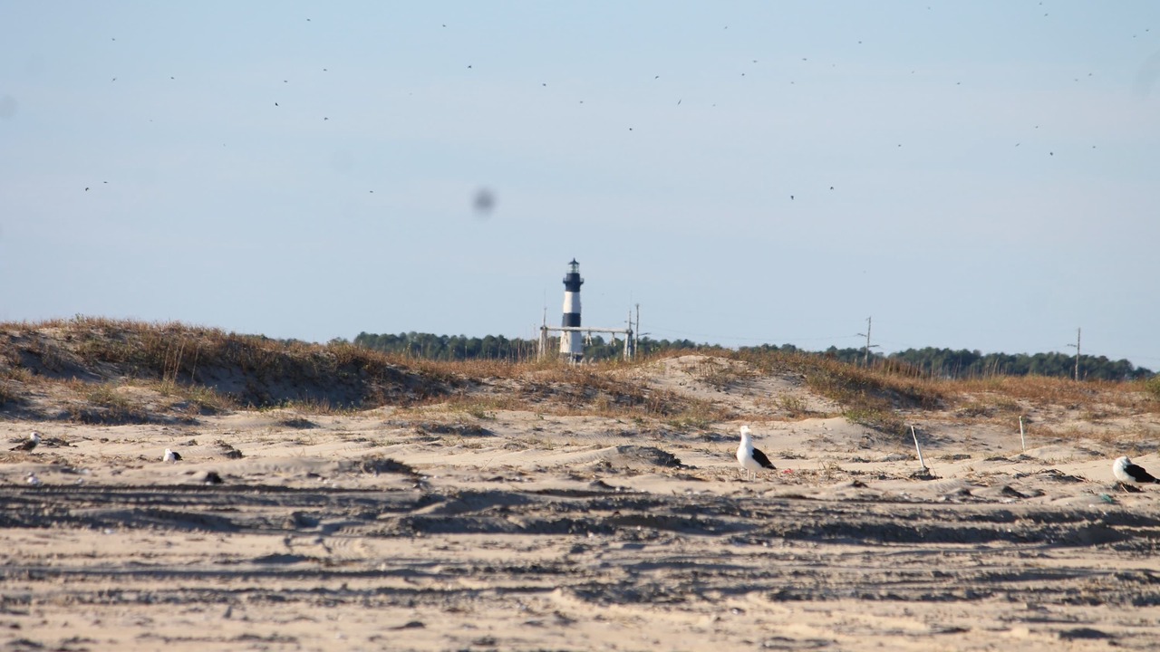 Photo of Others in South Nags Head