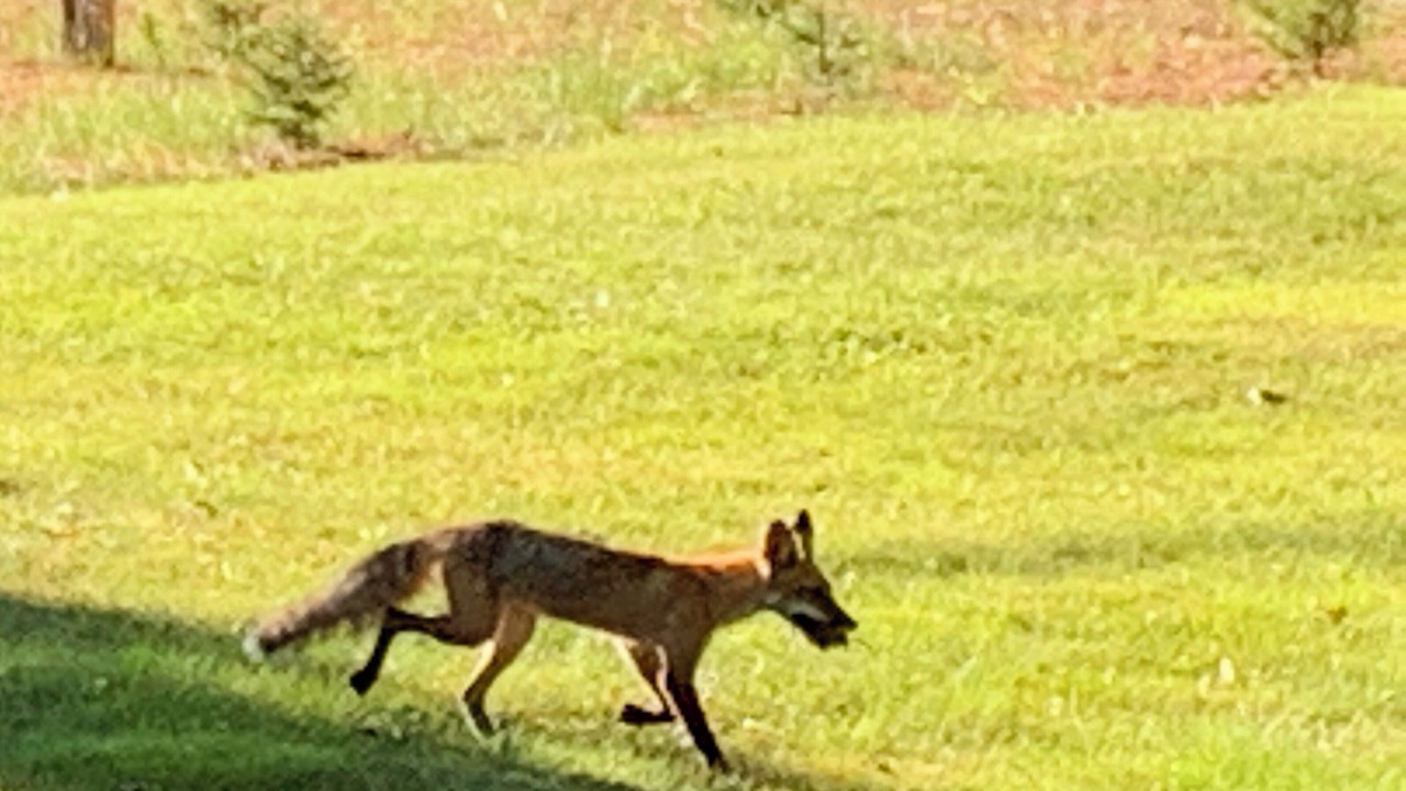 Photo of Others in Muskoka Lakes