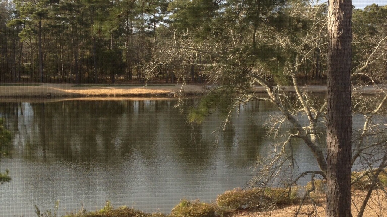 Photo of Others in Pawleys Island