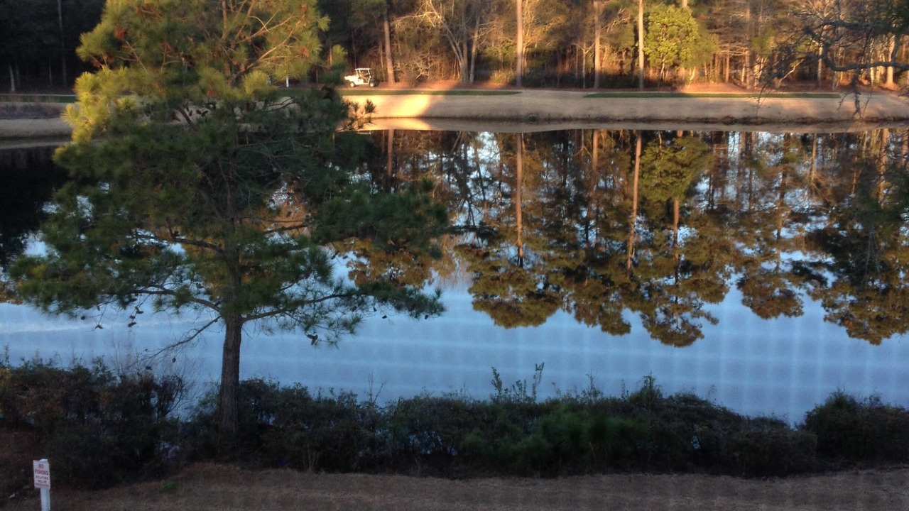 Photo of Outdoor in Pawleys Island
