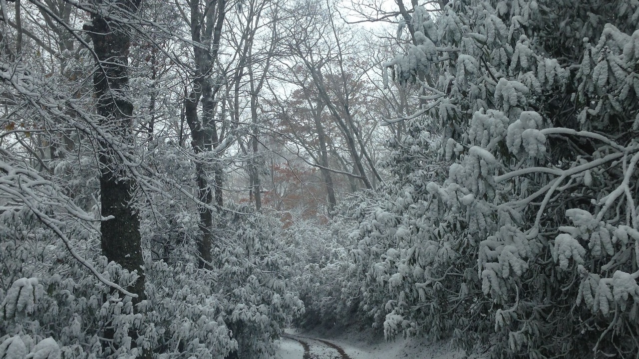 Photo of Outdoor in Blowing Rock
