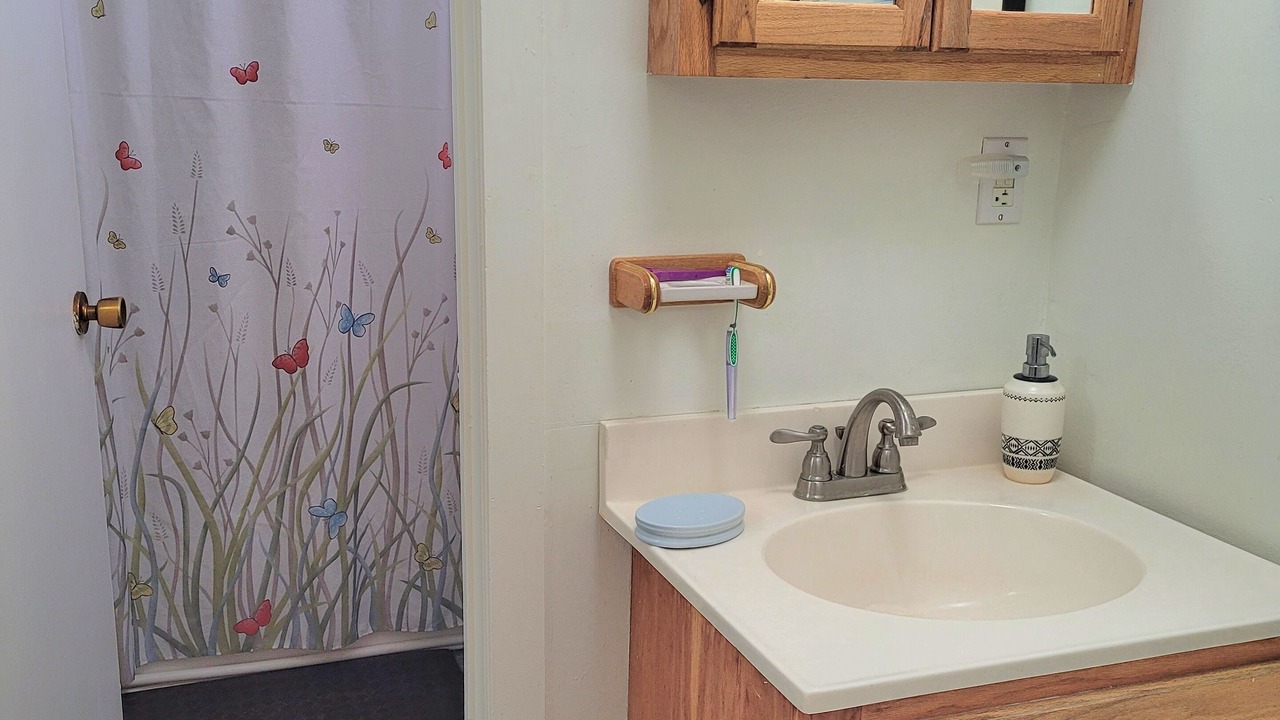 Photo of Bathroom in Maggie Valley