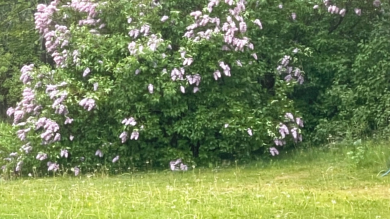 Photo of Outdoor in Timiskaming District