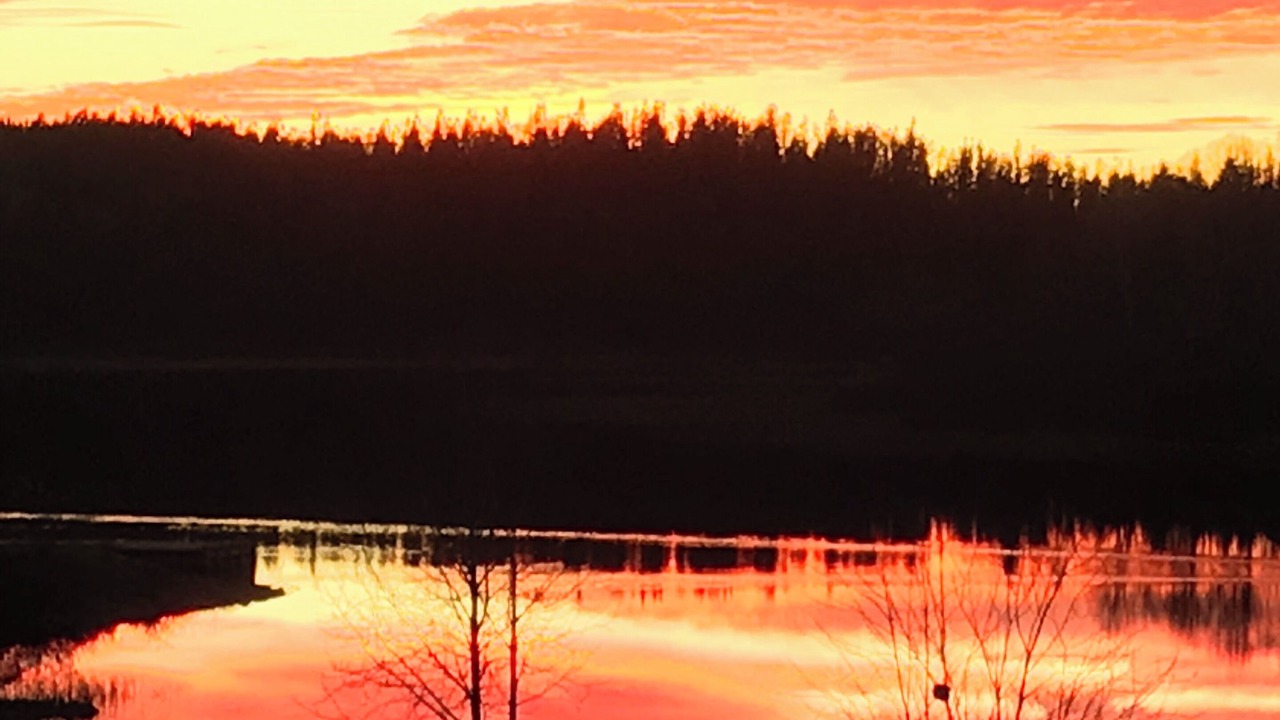 Photo of Others in Timiskaming District
