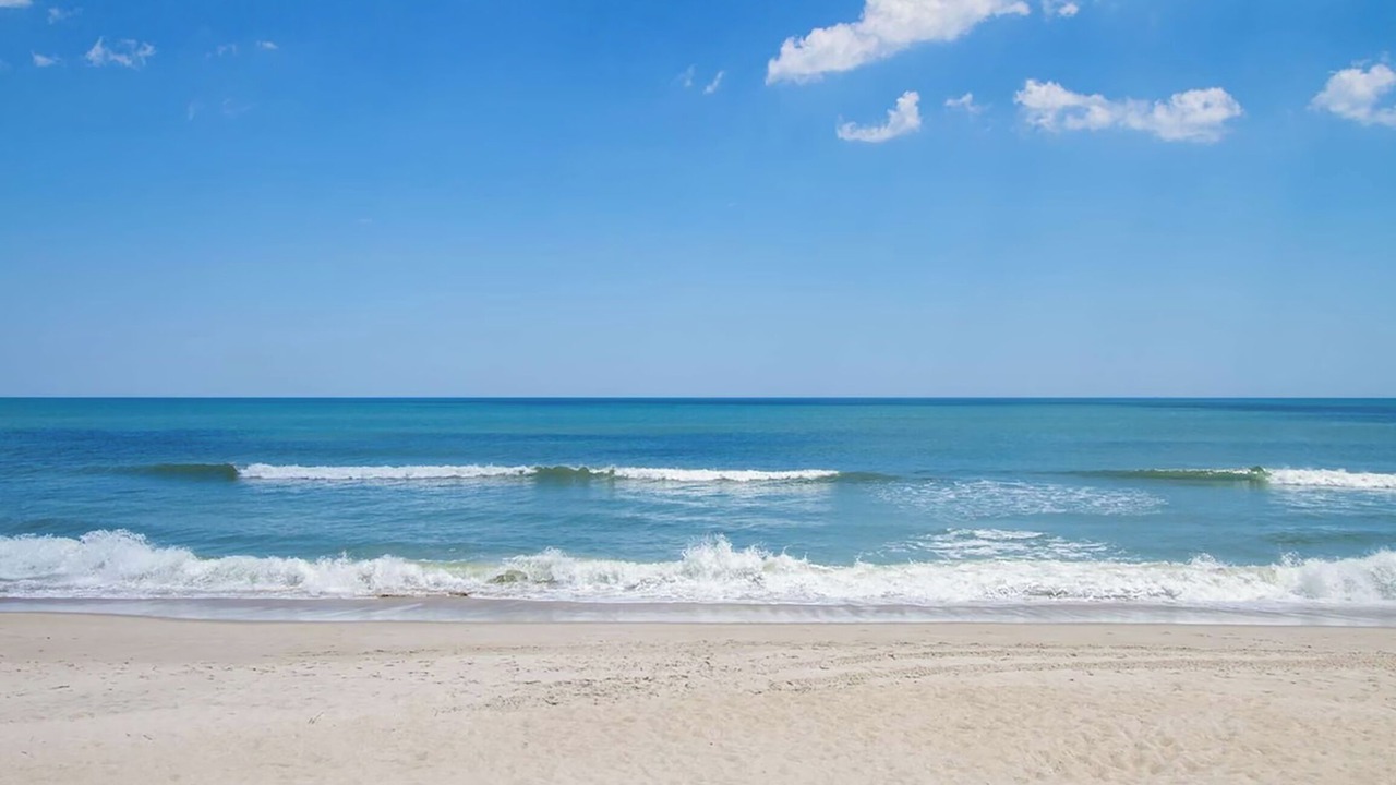 Photo of Others in Wilmington Beach