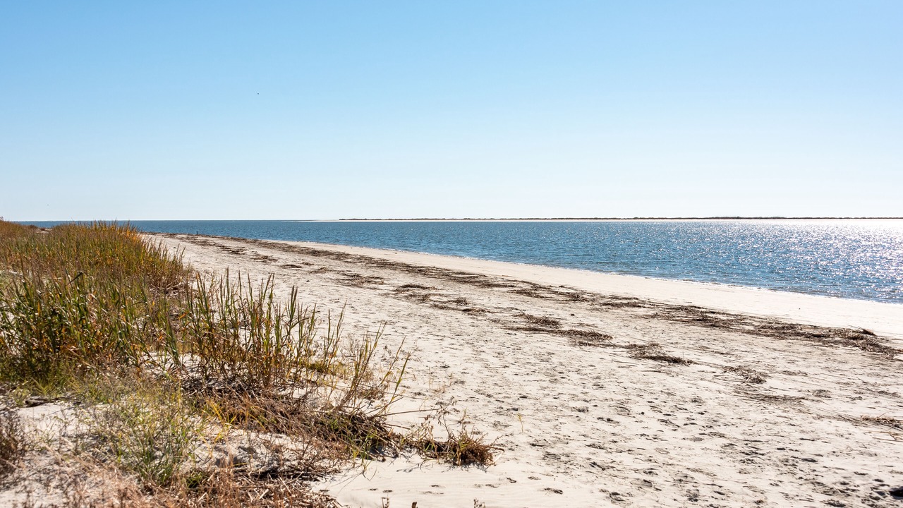 Photo of Others in Seabrook Island