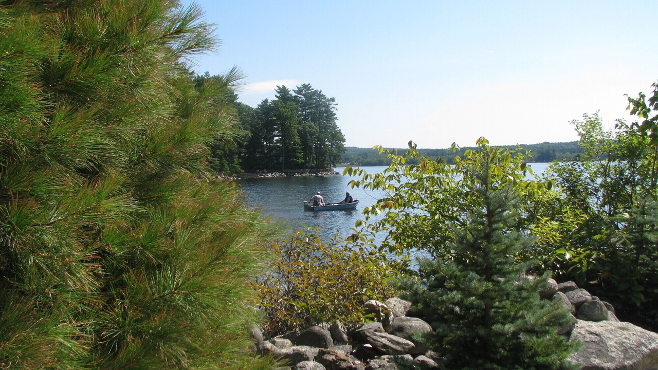 Photo of Others in South Casco