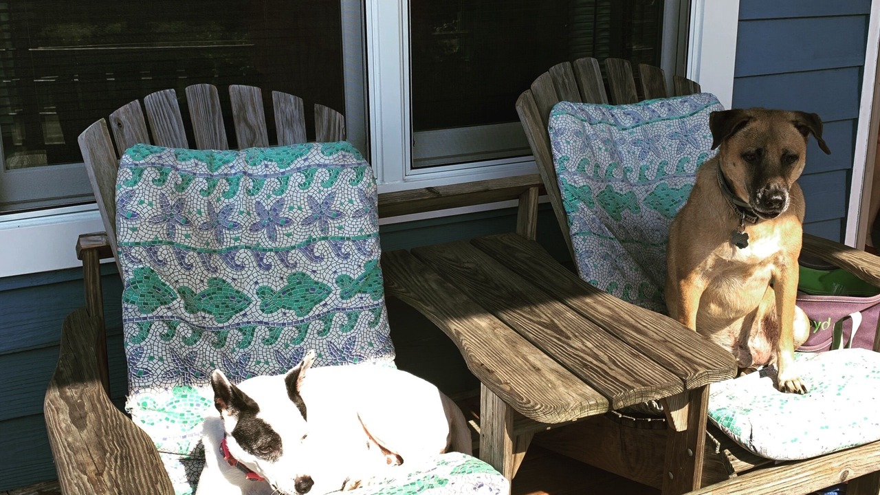 Photo of Outdoor in Southern Shores