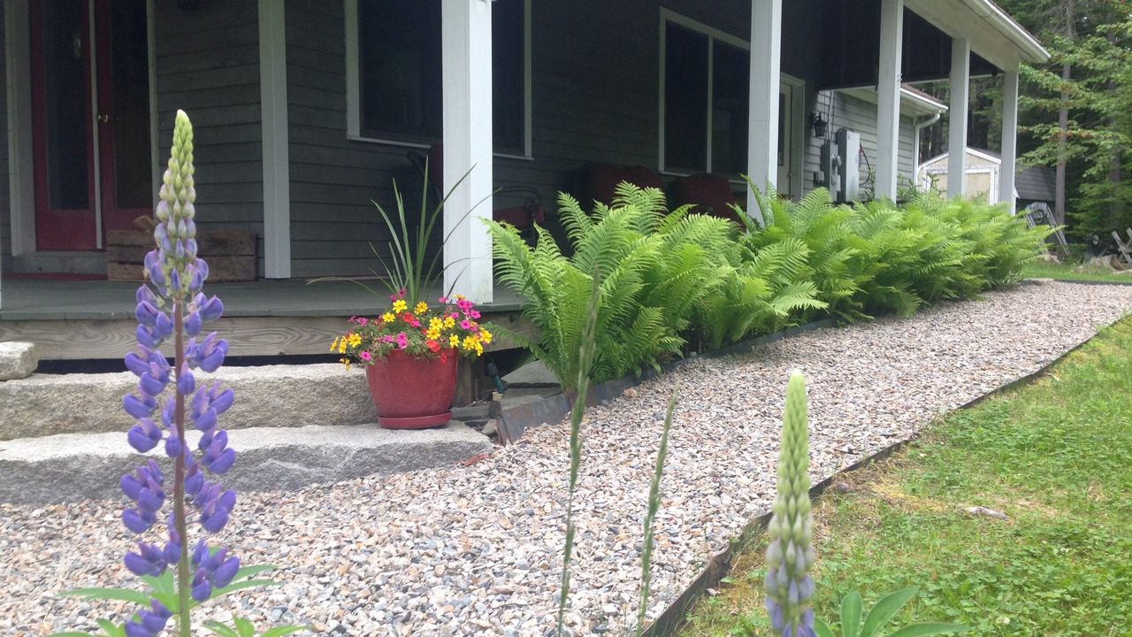 Photo of Outdoor in Southwest Harbor
