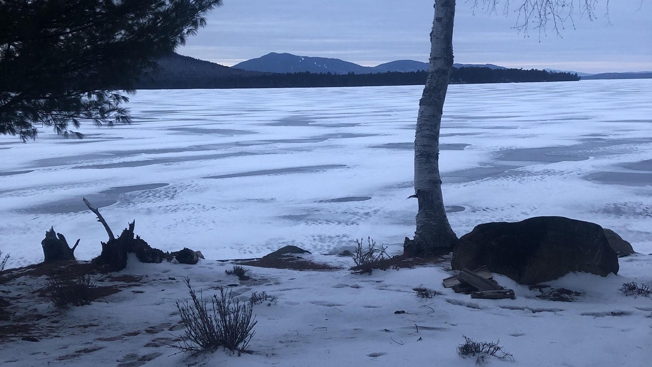 Photo of Others in Beaver Cove