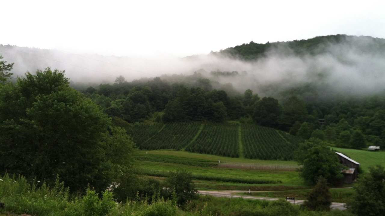 Photo of Others in Glenville