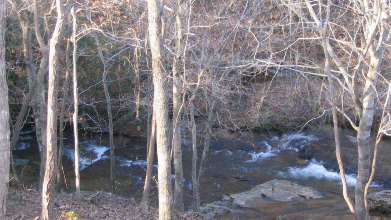 Photo of Outdoor in Lula