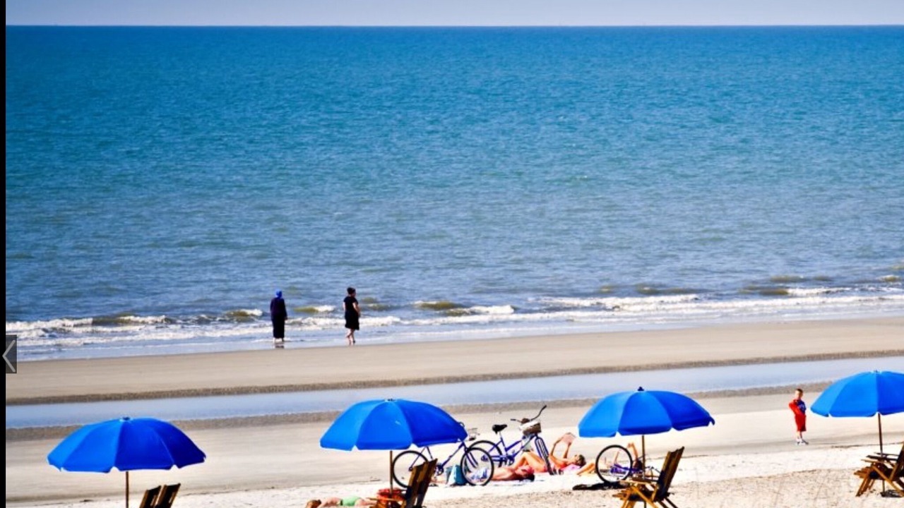 Photo of Others in Palmetto Dunes