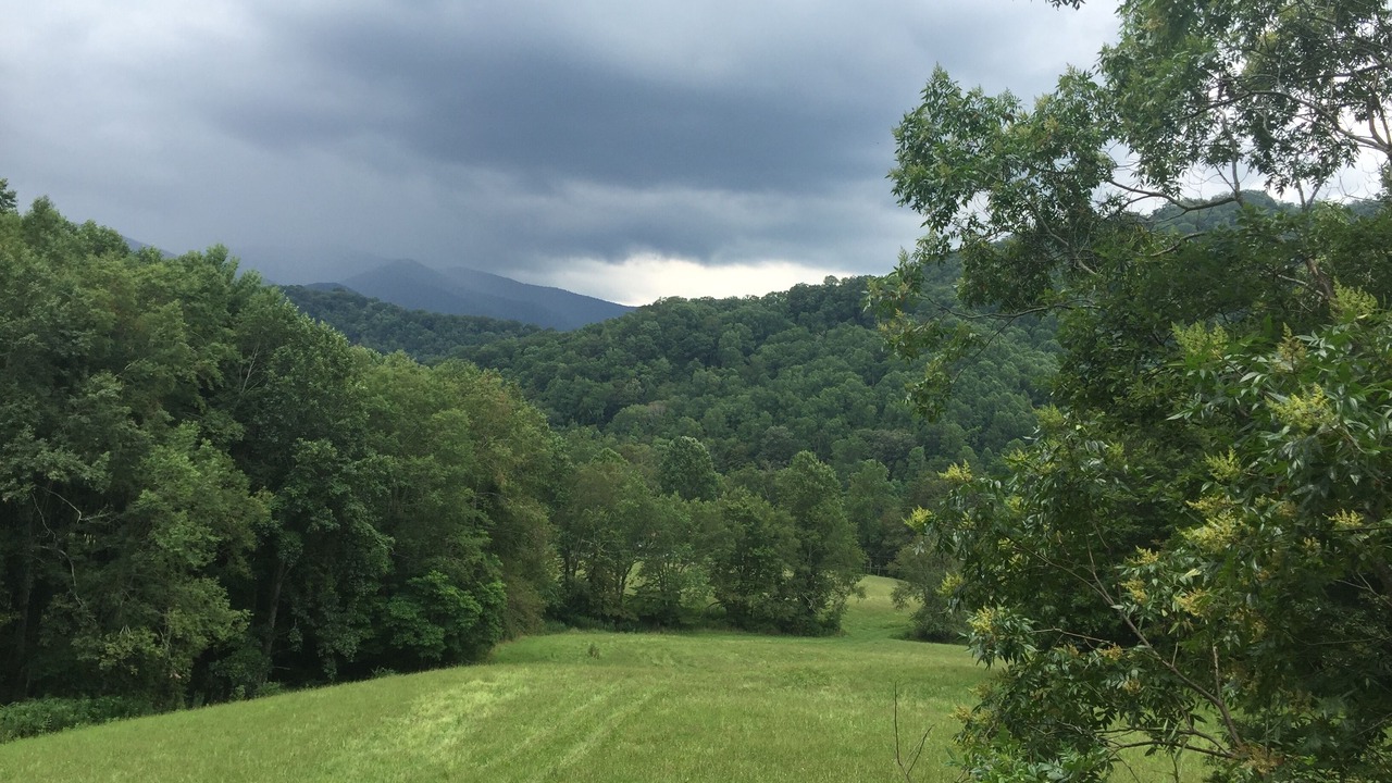 Photo of Others in Roan Mountain