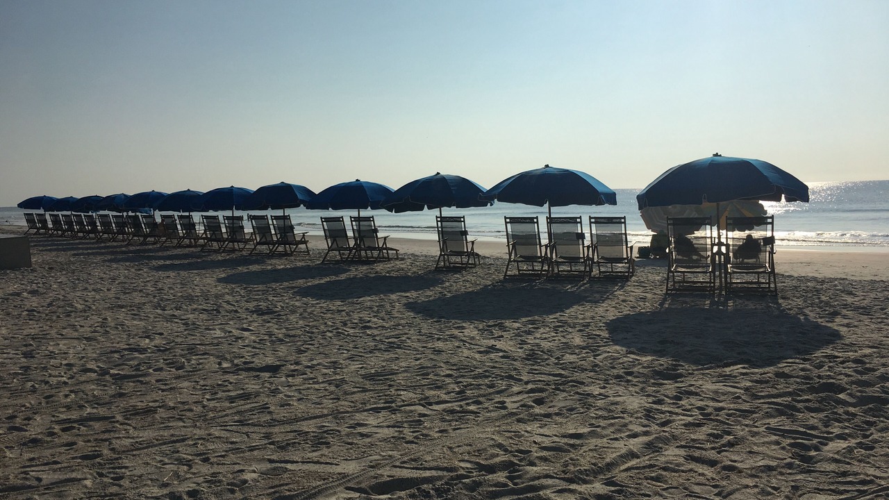 Photo of Others in Palmetto Dunes