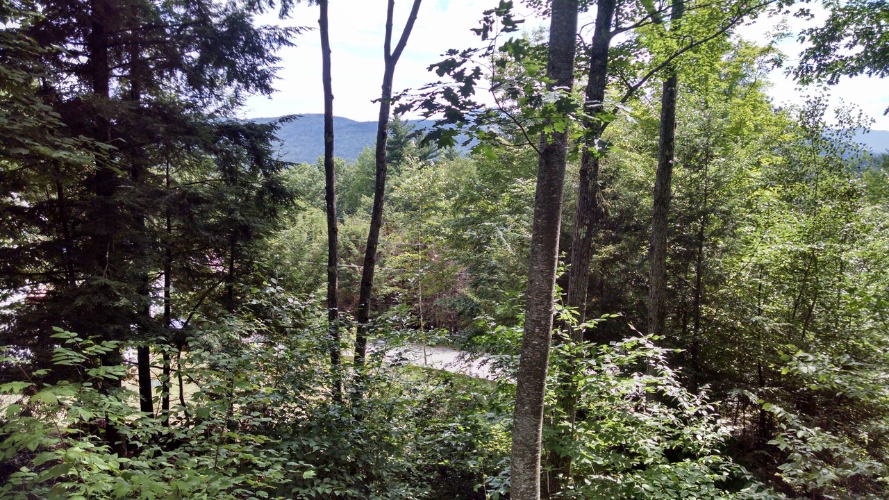 Photo of Outdoor in Bartlett