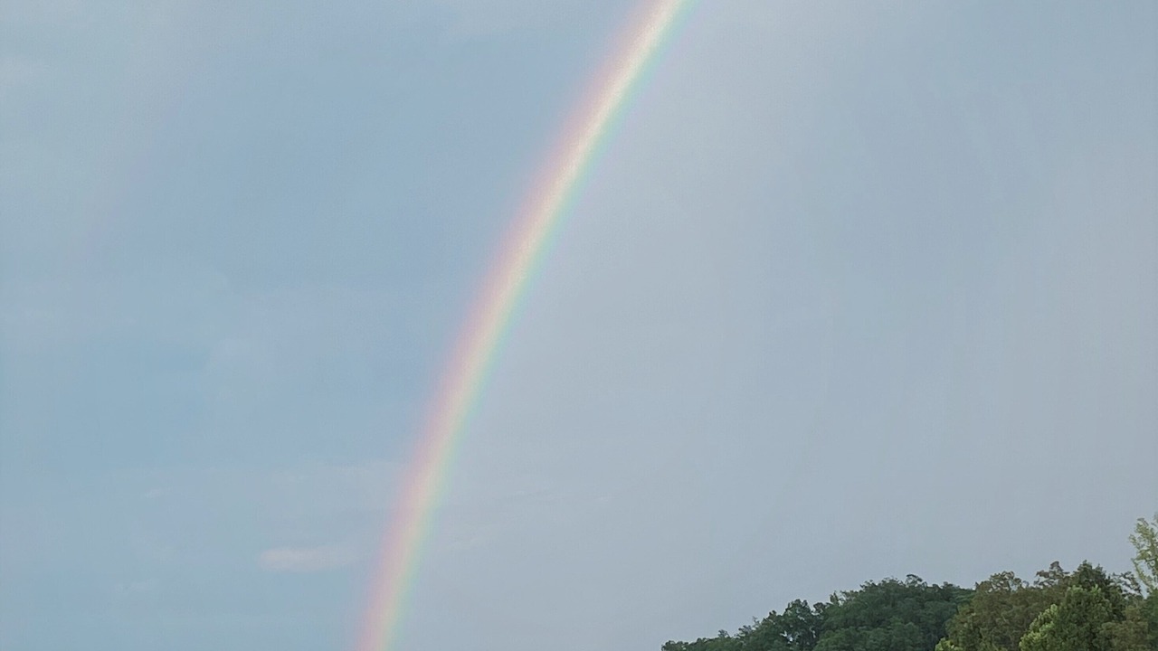 Photo of Others in Seneca