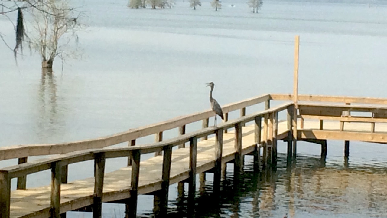 Photo of Outdoor in Eutawville