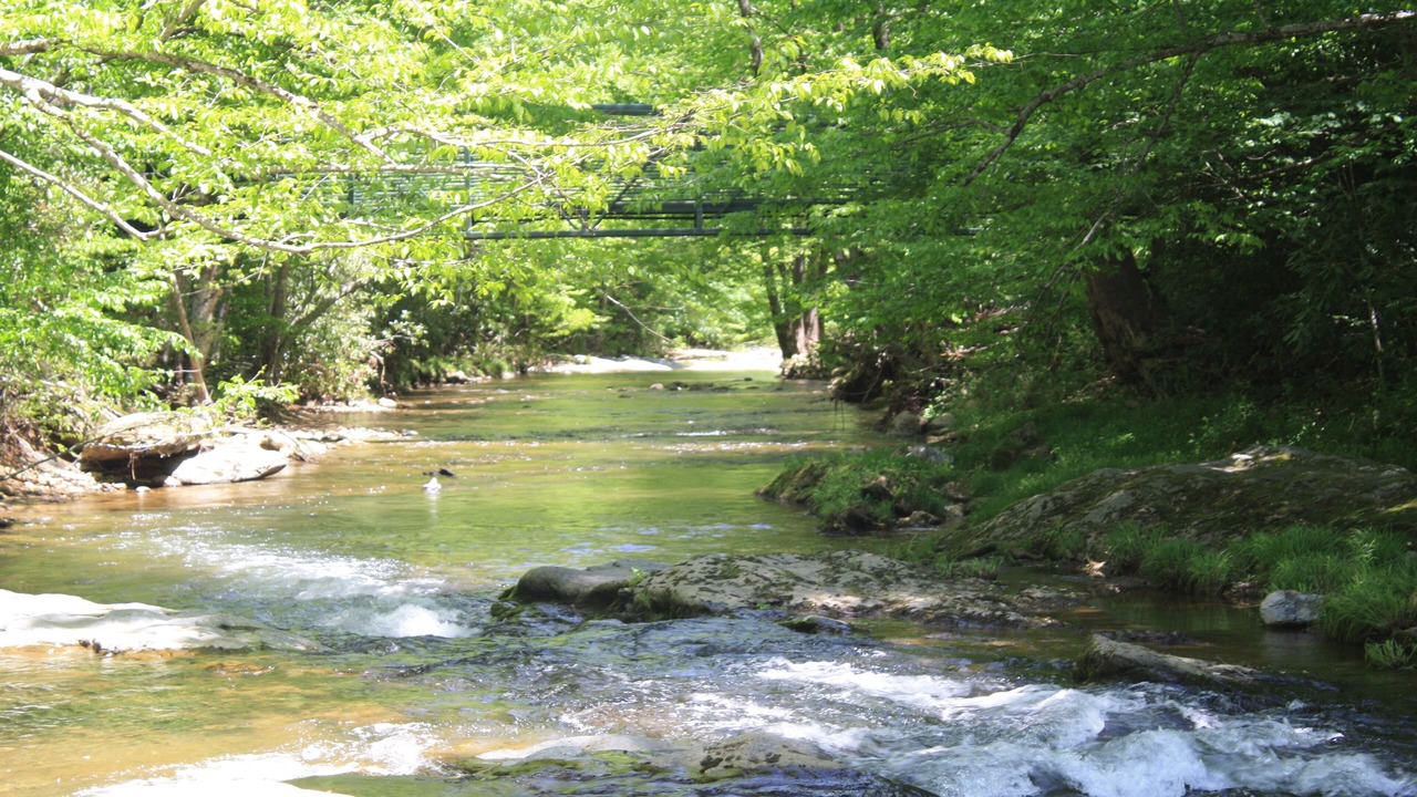 Photo of Others in Boone
