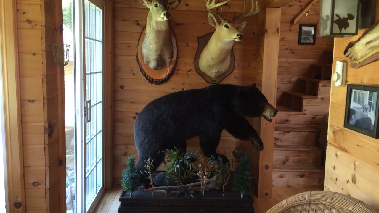 Photo of Others in Wallace