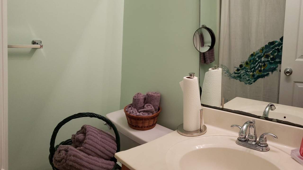 Photo of Bathroom in North Charleston