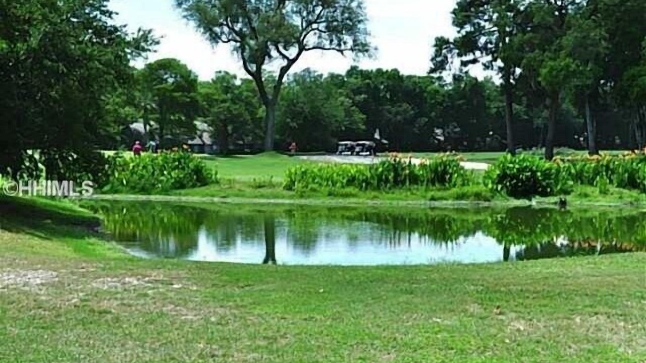 Photo of Outdoor in Palmetto Dunes