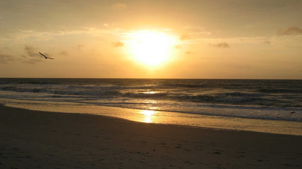 Photo of Others in Surfside Beach