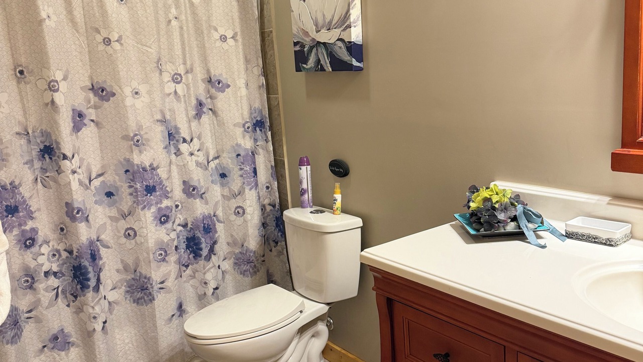 Photo of Bathroom in Cataloochee Ranch