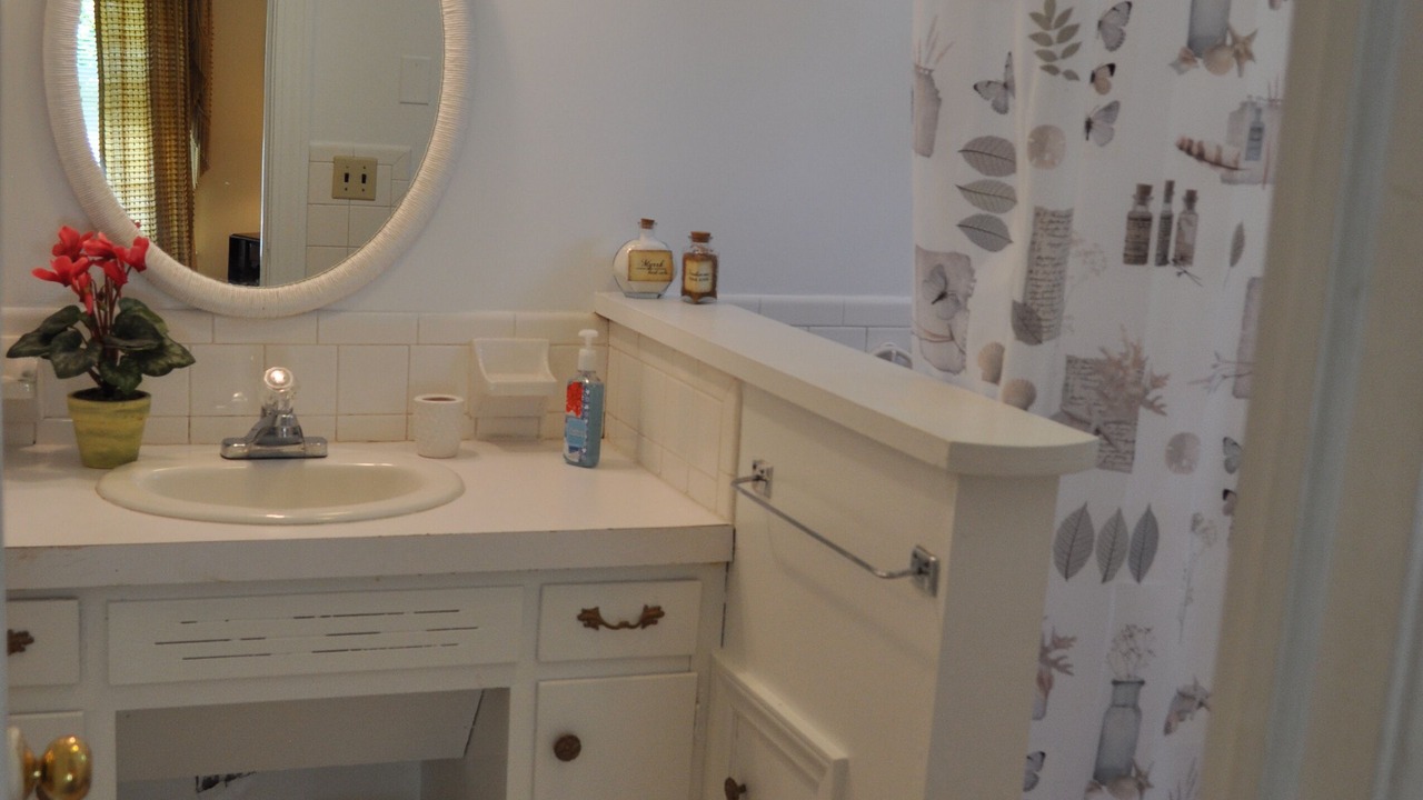 Photo of Bathroom in Jonesville