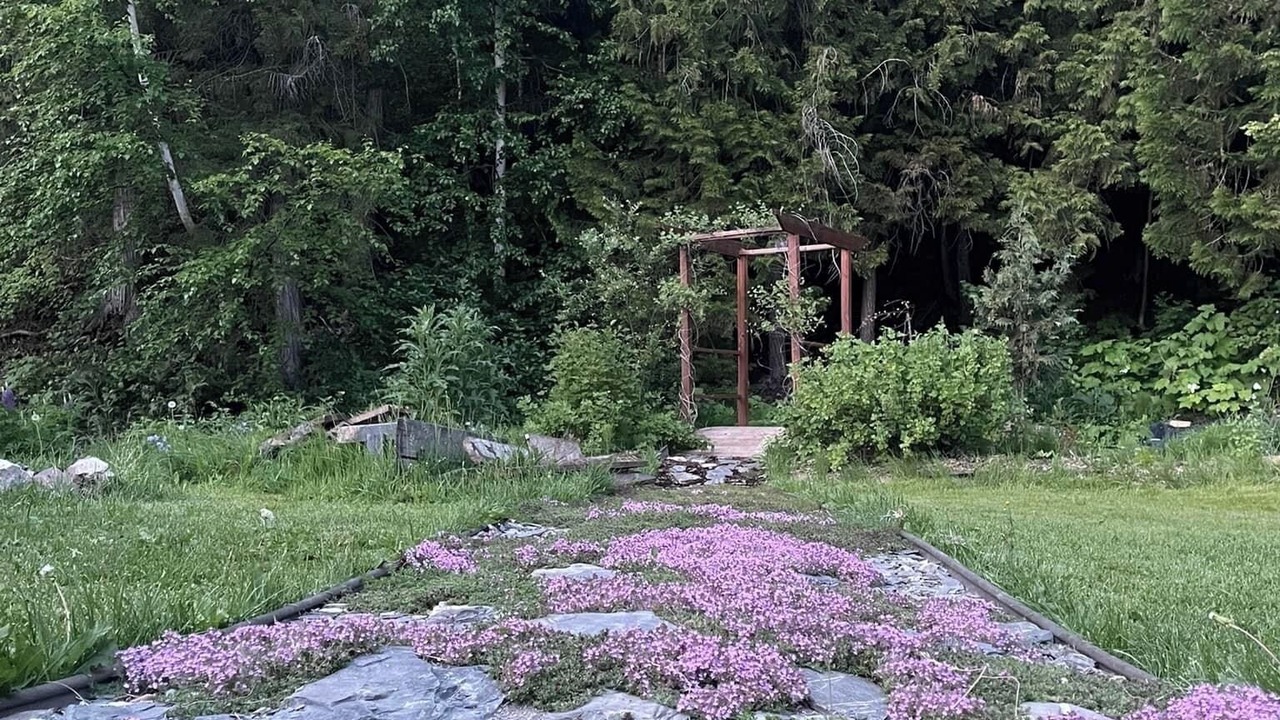 Photo of Outdoor in Golden