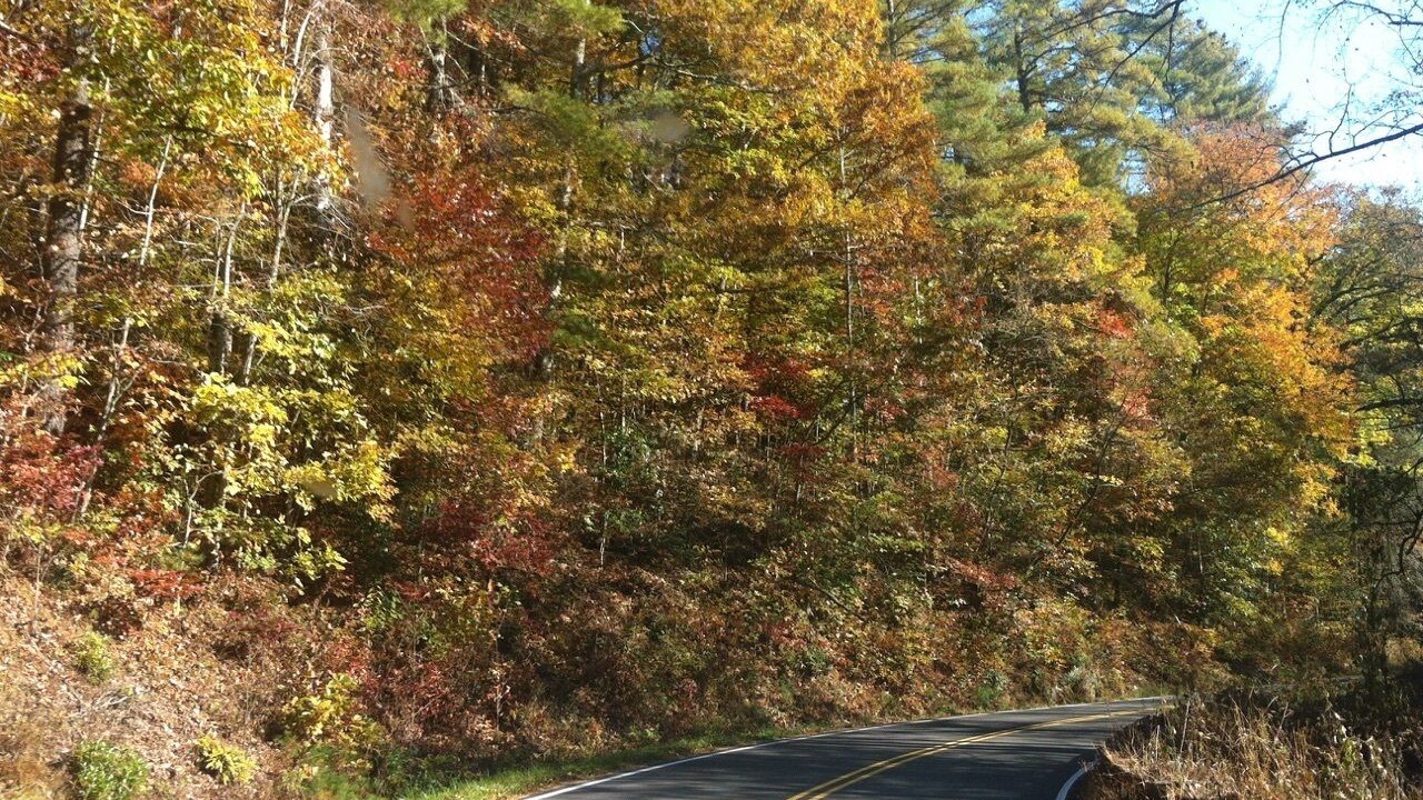 Photo of Outdoor in Franklin