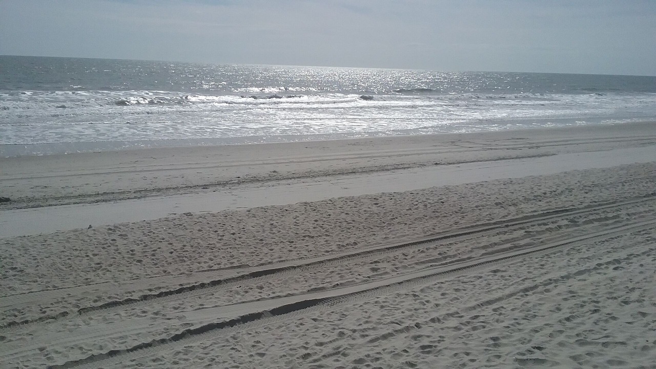 Photo of Others in Central Myrtle Beach