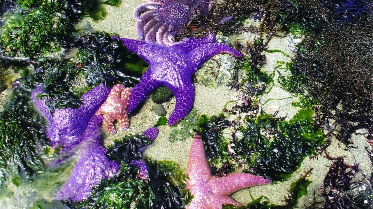 Photo of Others in Regional District of Nanaimo