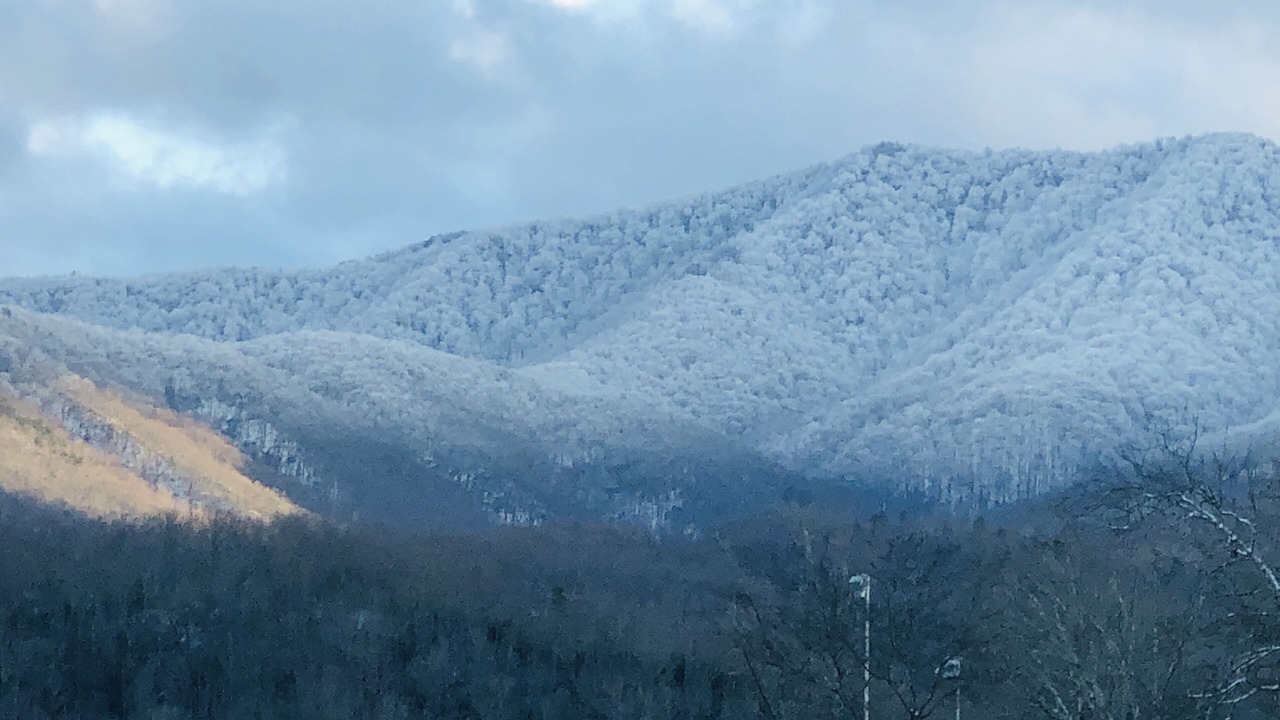 Photo of Others in Gatlinburg