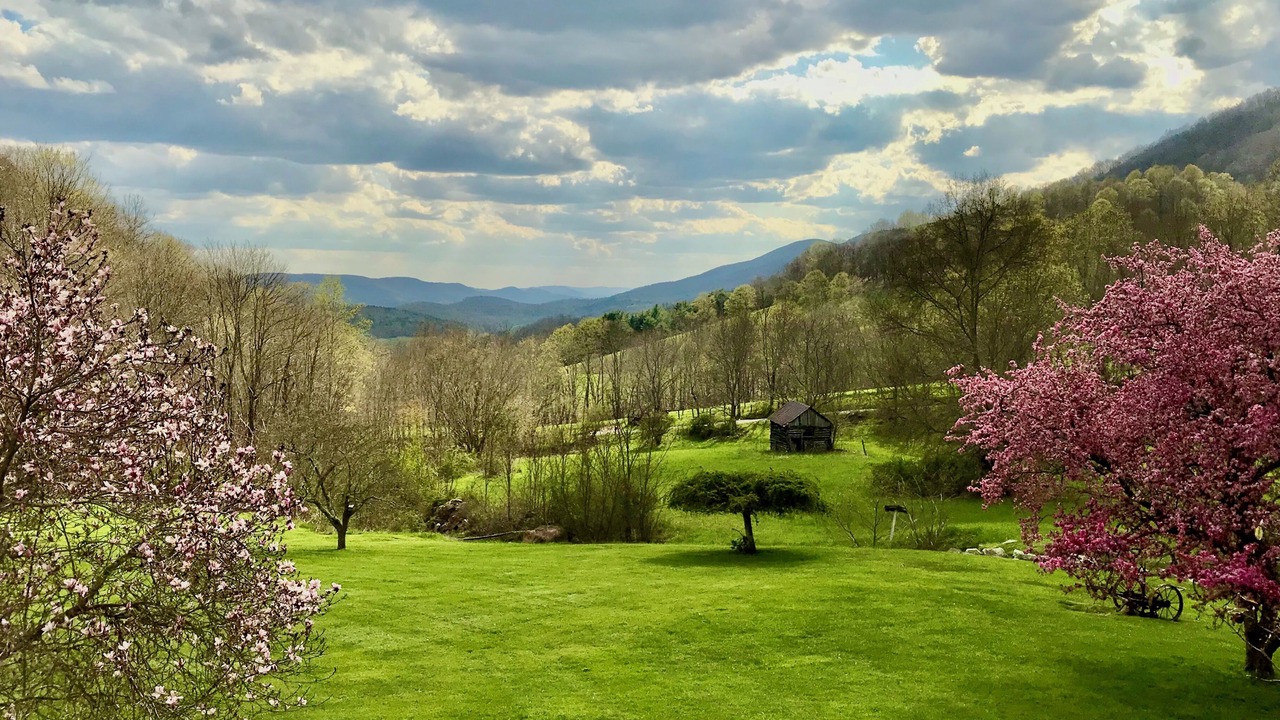 Photo of Outdoor in Newport