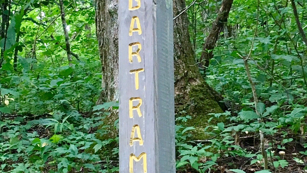 Photo of Outdoor in Highlands