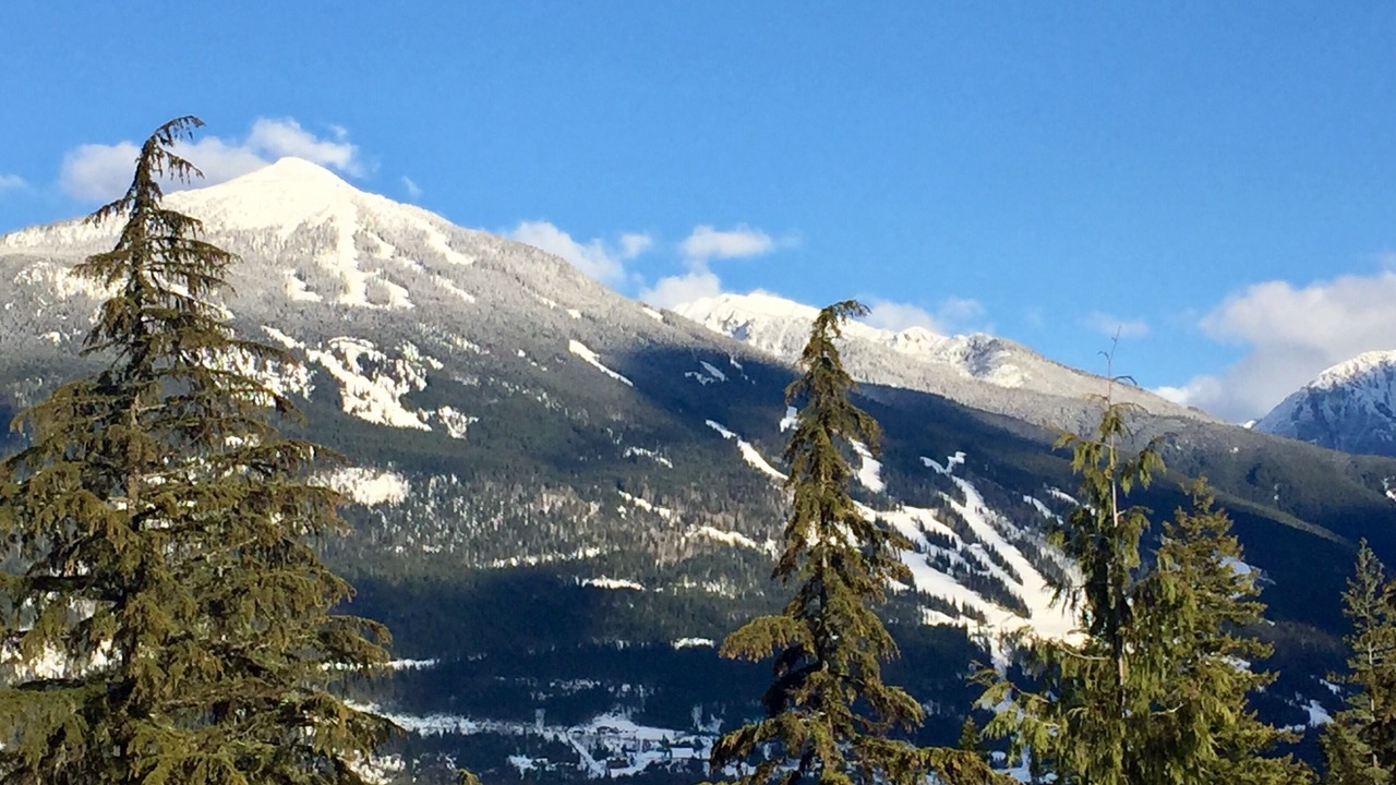 Photo of Others in Revelstoke