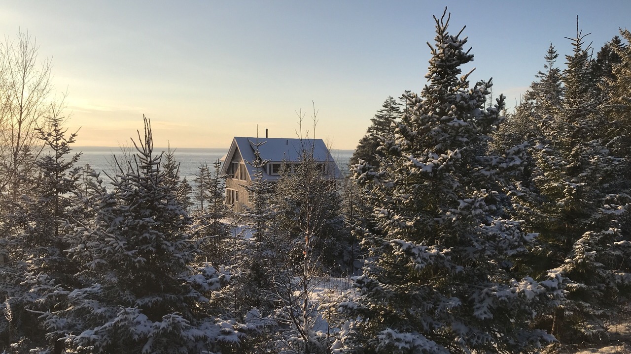 Photo of Others in Tenants Harbor