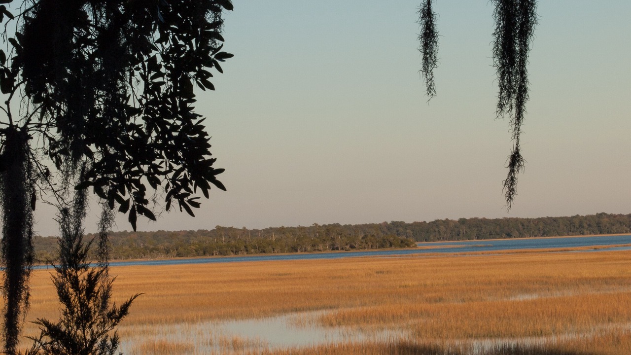Photo of Others in Knowles Island Plantation