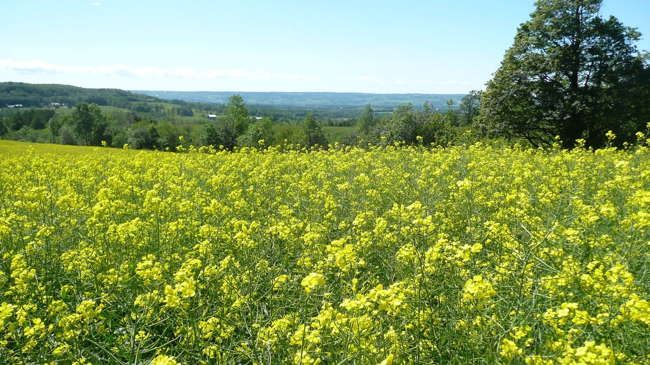 Photo of Outdoor in Eugenia