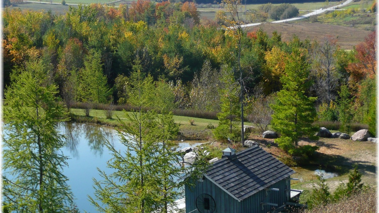 Photo of Outdoor in Eugenia