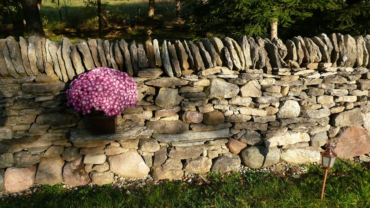 Photo of Outdoor in Eugenia