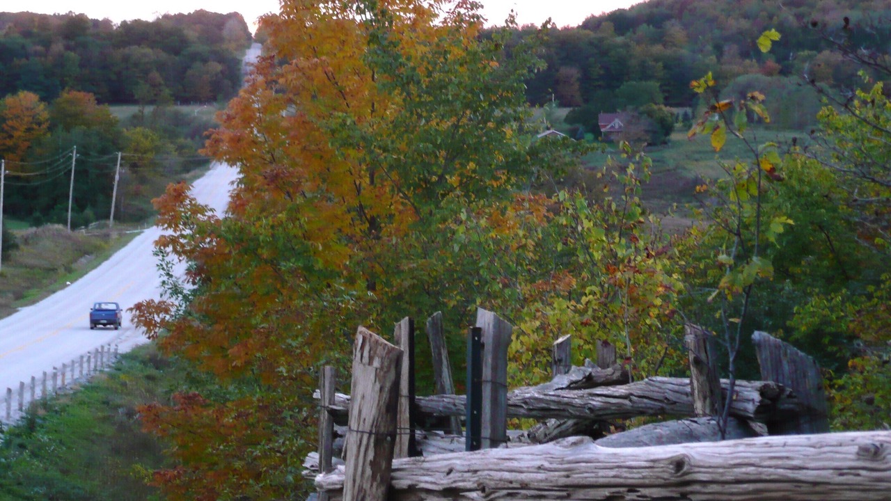 Photo of Outdoor in Eugenia