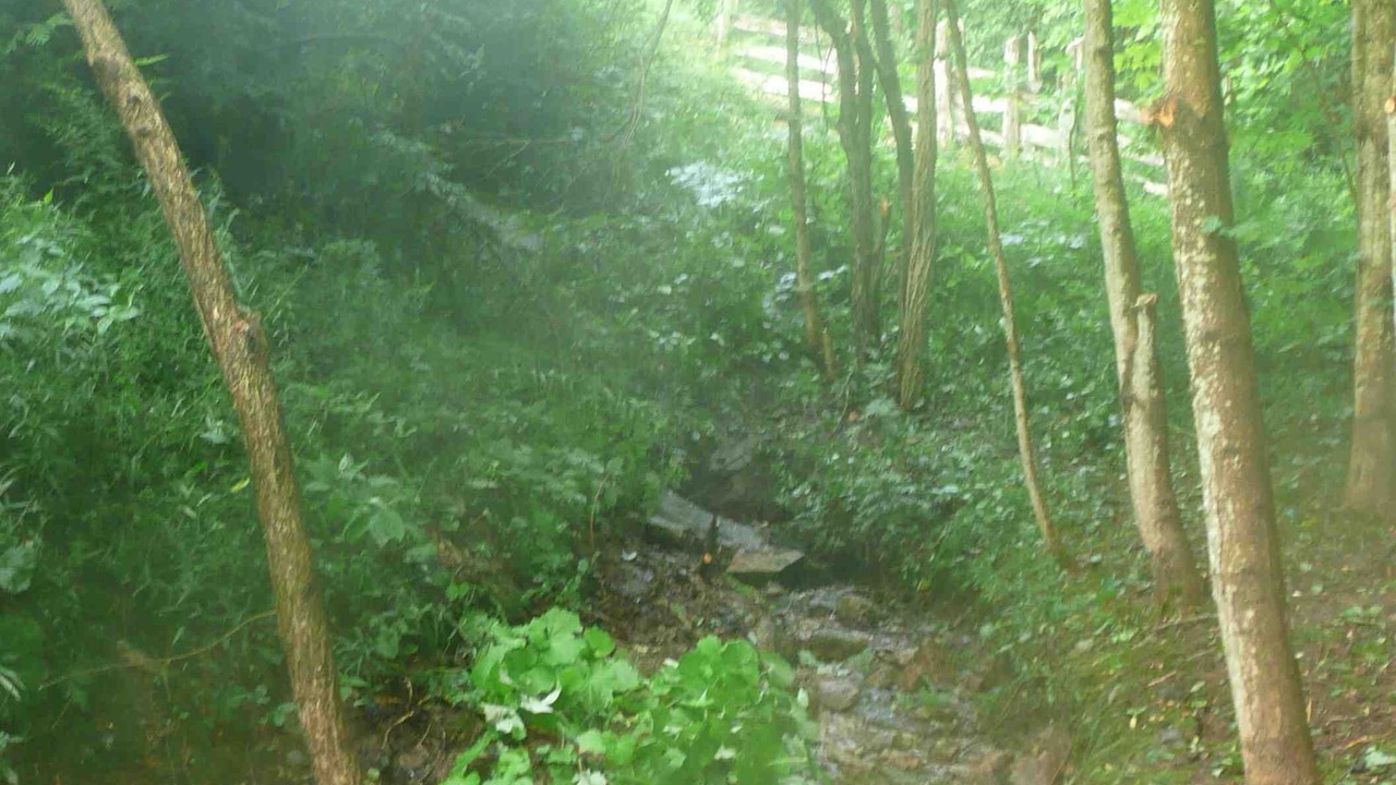 Photo of Outdoor in Eugenia
